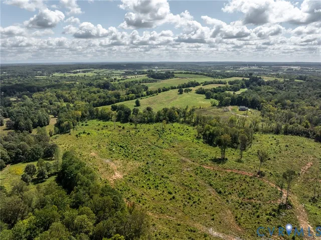 a view of a lush green forest with lots of trees
