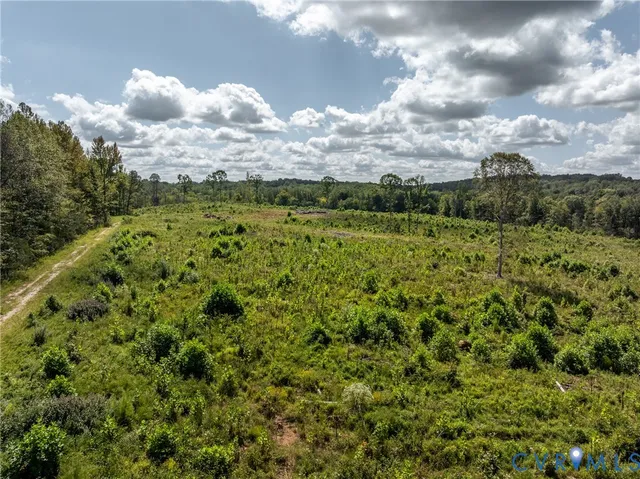 a view of a bunch of trees and houses in a yard