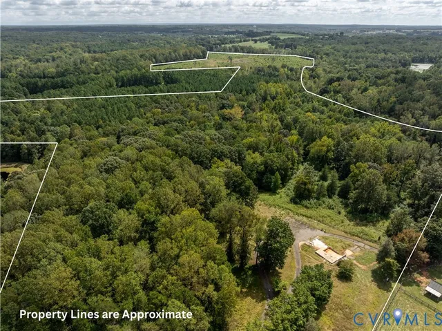 a view of a lush green forest with a lake