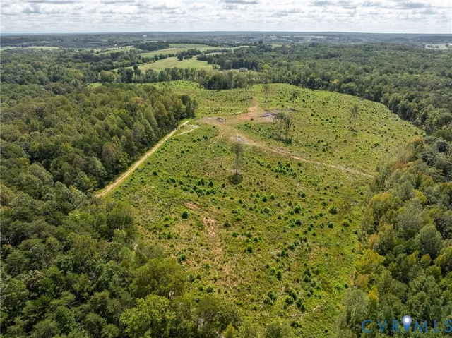 a view of a field with a forest