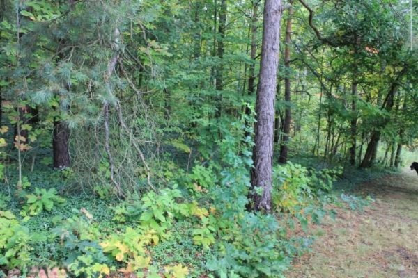 3333 13 Mile Road Northeast Rockford, MI 49341 - Photo 13 of 13 Additional Photo