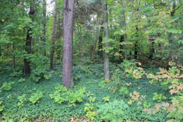 3333 13 Mile Road Northeast Rockford, MI 49341 - Photo 4 of 13 Additional Photo