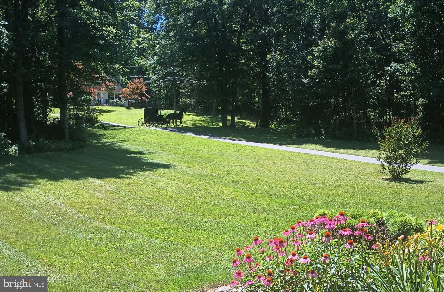 425 Swamp Road Morgantown, PA 19543 - Photo 8 of 55 Friendly neighbor