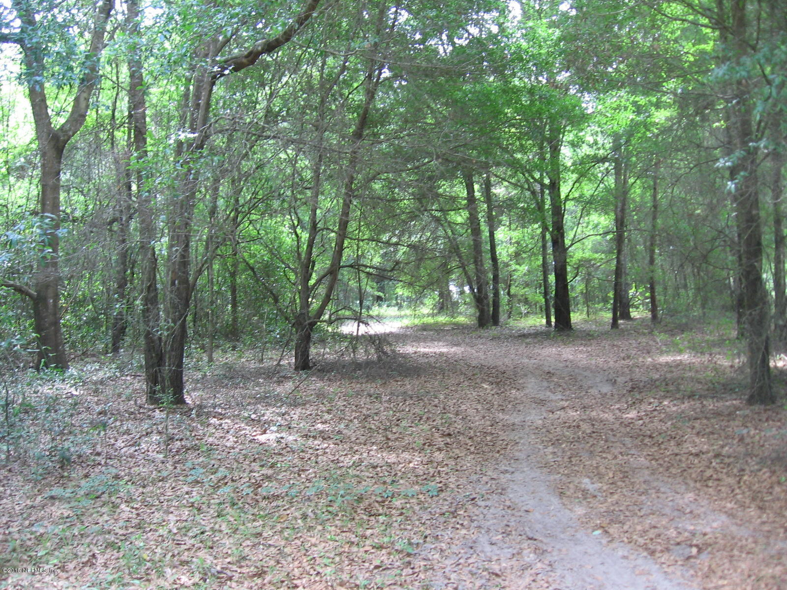 8056 Alderman Road Melrose, FL 32666 - Photo 11 of 15 IMG_1193