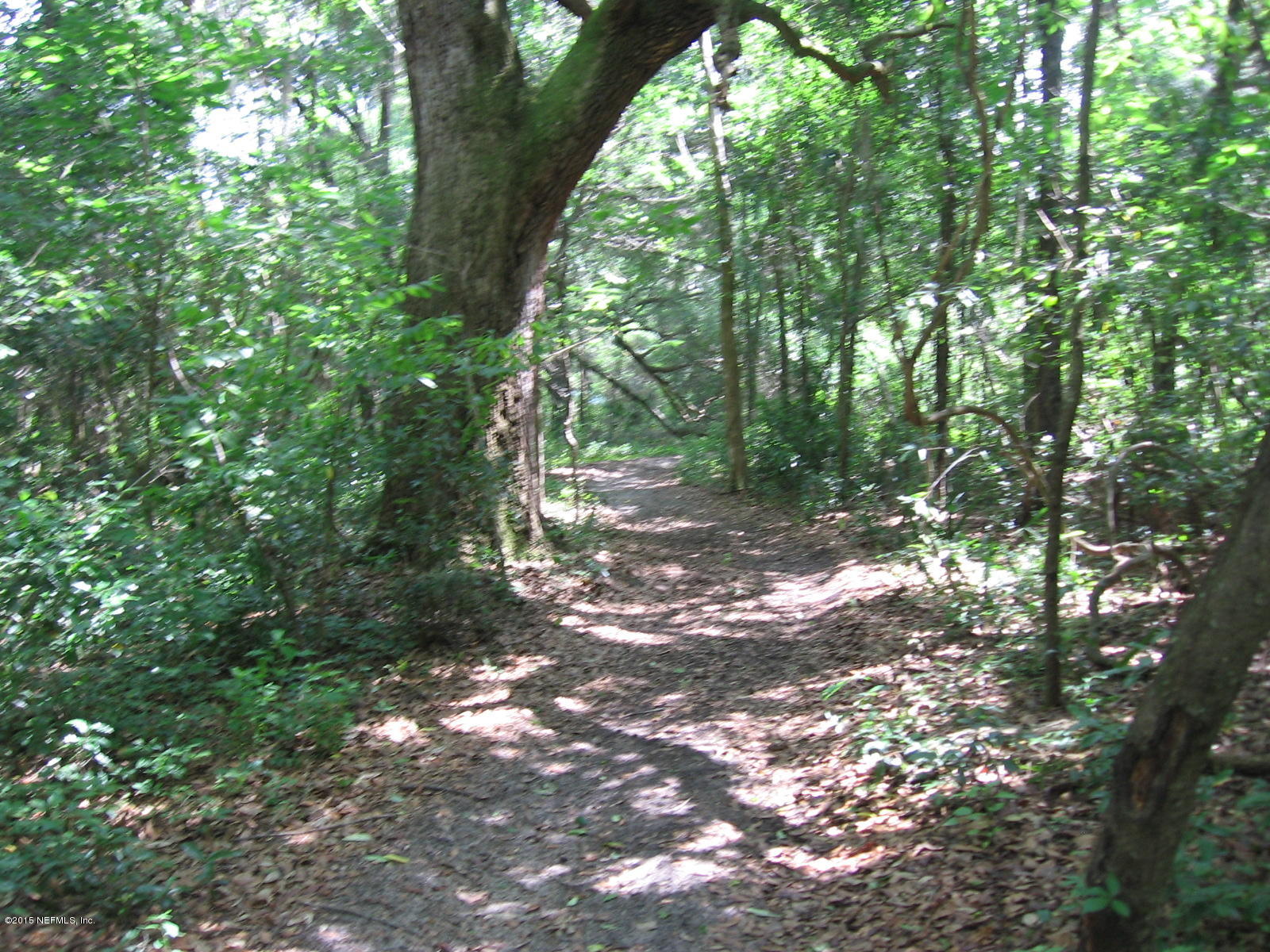 8056 Alderman Road Melrose, FL 32666 - Photo 12 of 15 IMG_1225