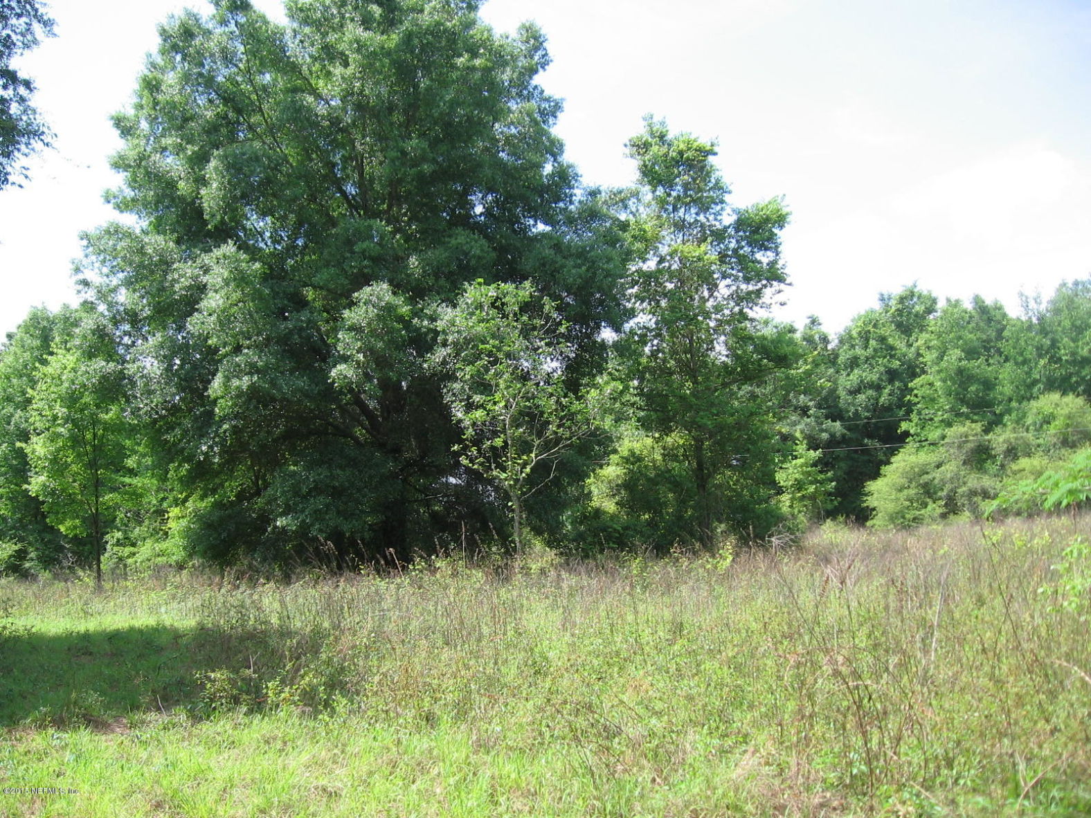 8056 Alderman Road Melrose, FL 32666 - Photo 14 of 15 IMG_1221