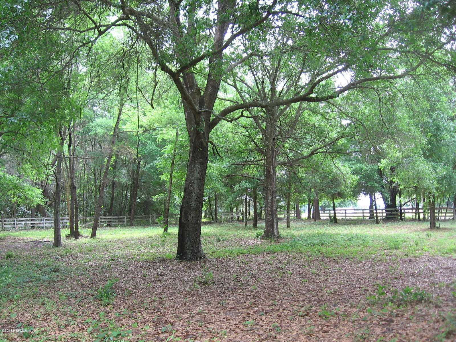 8056 Alderman Road Melrose, FL 32666 - Photo 4 of 15 IMG_1186