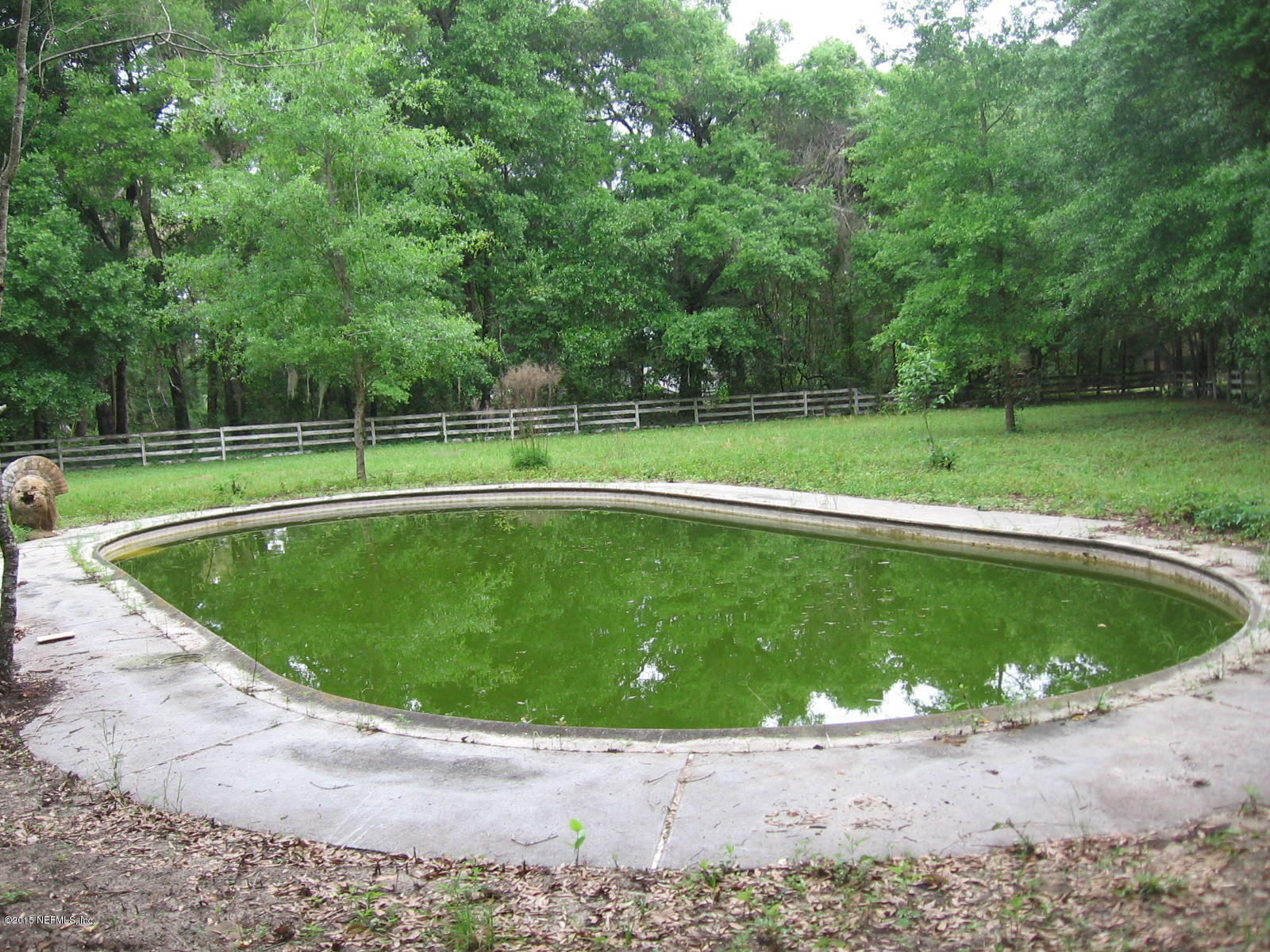 8056 Alderman Road Melrose, FL 32666 - Photo 6 of 15 IMG_1179