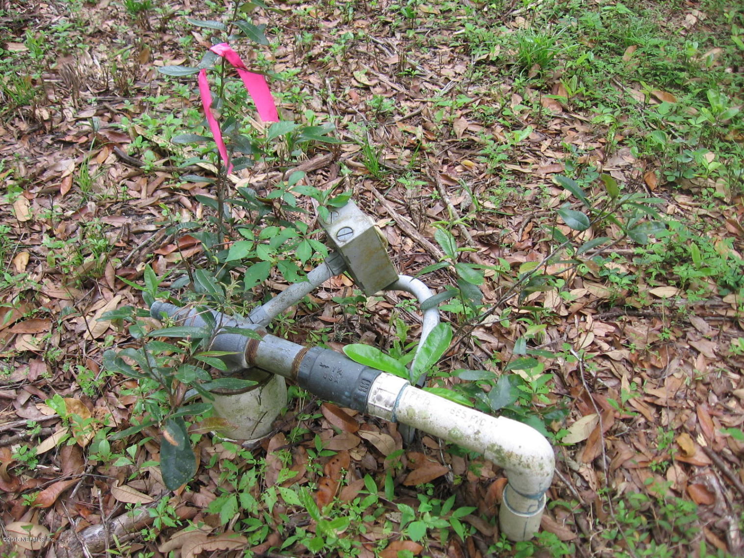 8056 Alderman Road Melrose, FL 32666 - Photo 7 of 15 IMG_1180