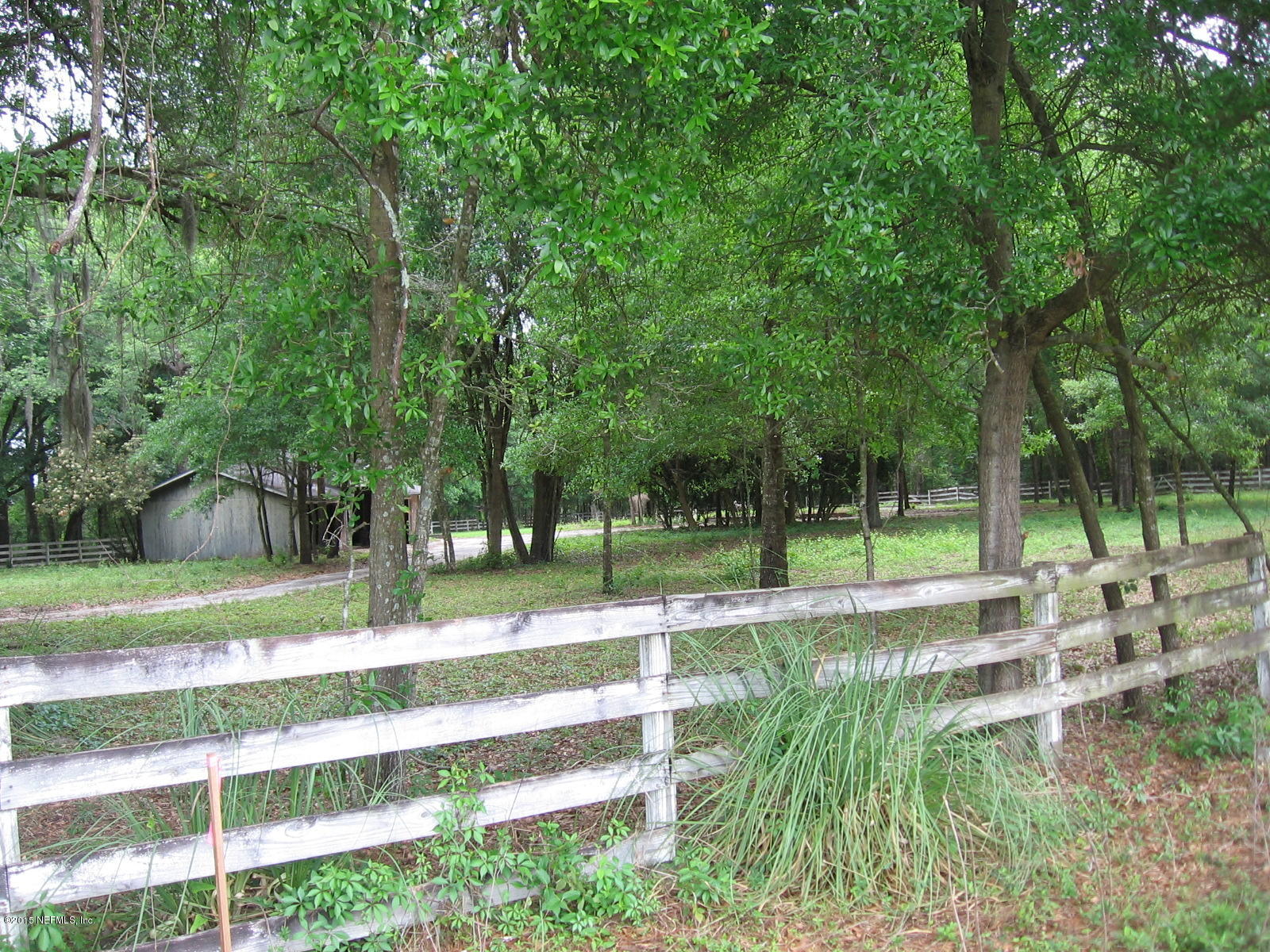 8056 Alderman Road Melrose, FL 32666 - Photo 9 of 15 IMG_1190