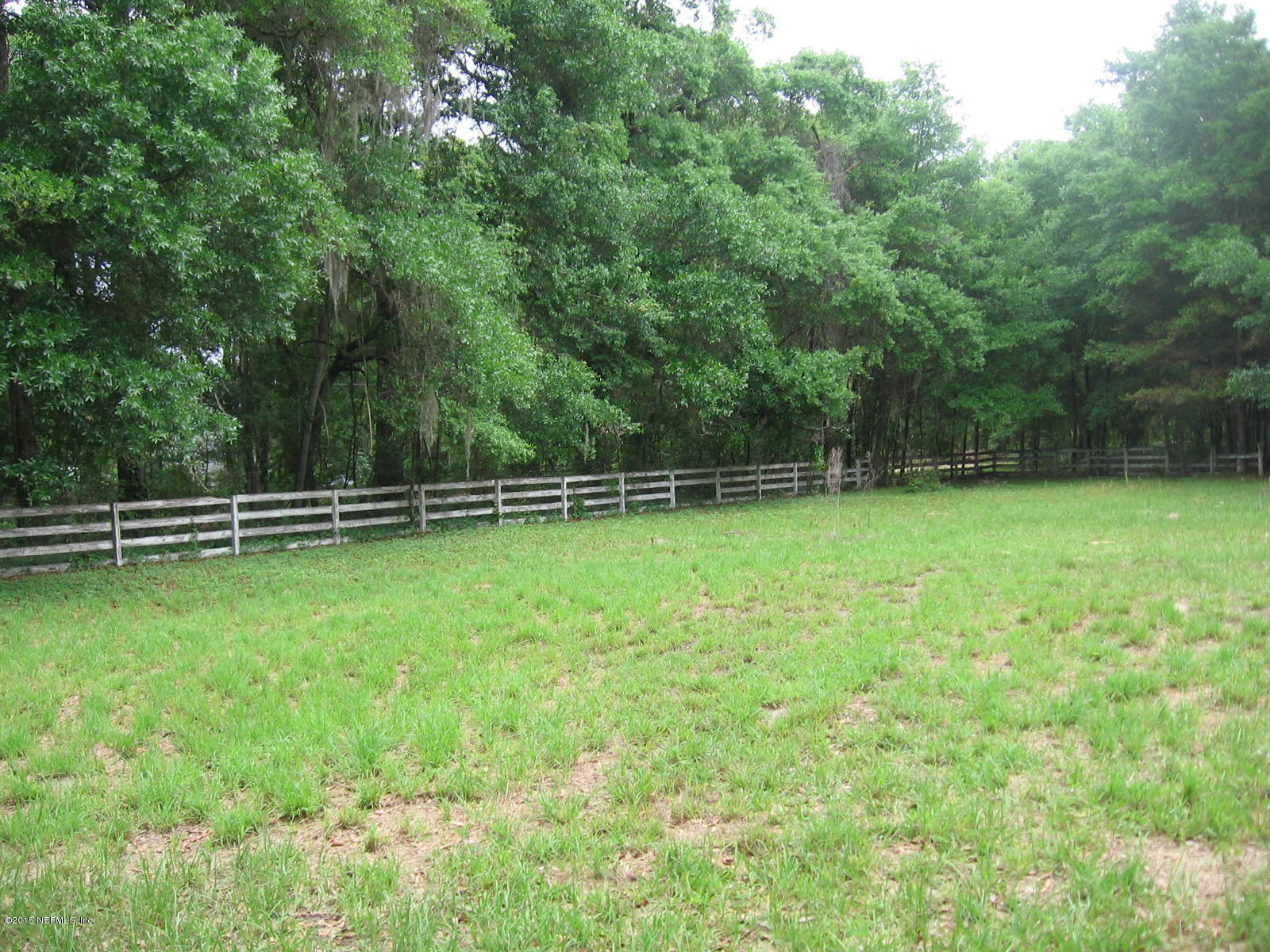 8056 Alderman Road Melrose, FL 32666 - Photo 10 of 15 IMG_1184