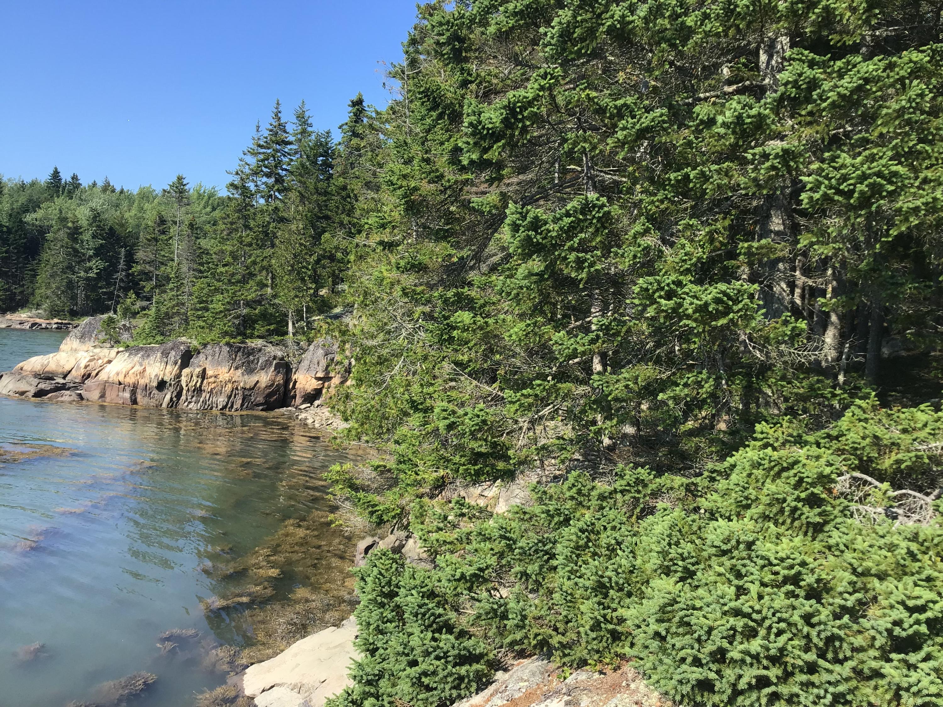 Lot 2 East Eagle Point Road Milbridge, ME 04658 - Photo 4 of 14 IMG_2722