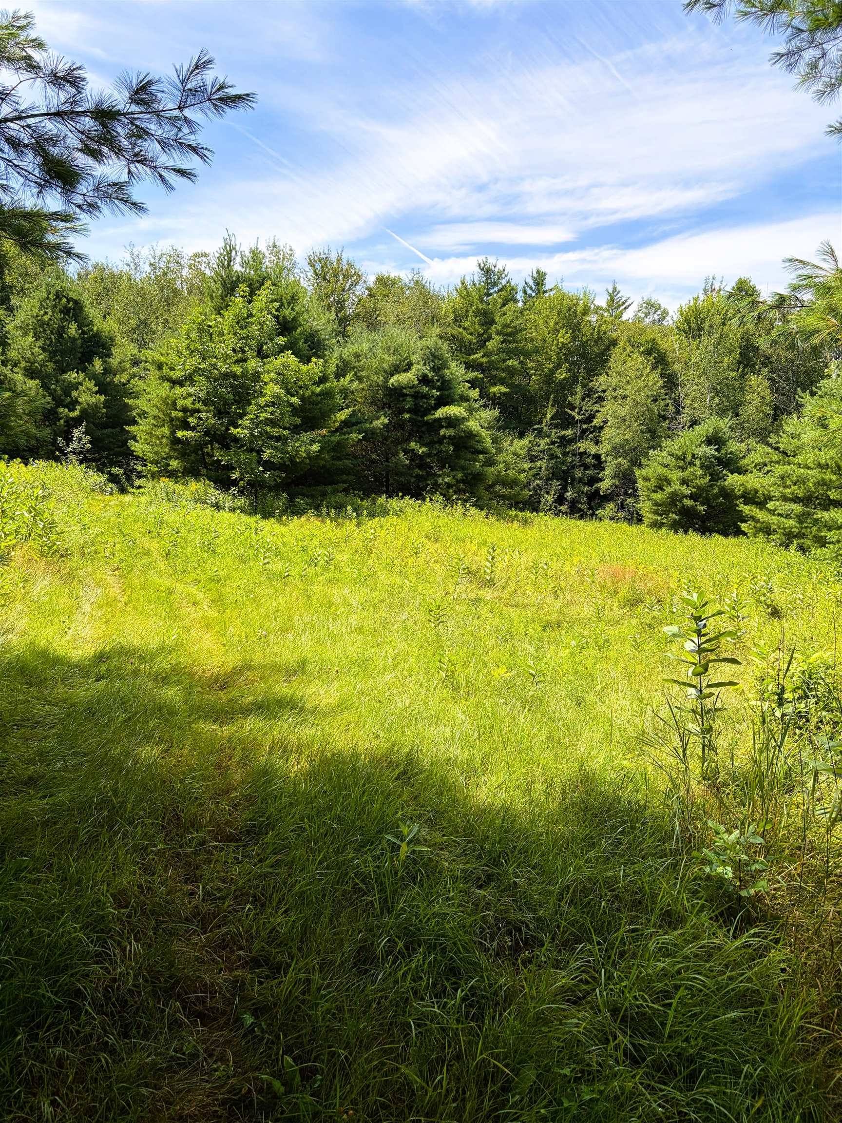 0 Osgood Farm Road Littleton, NH 03561 - Photo 7 of 58 Gallery Image 7