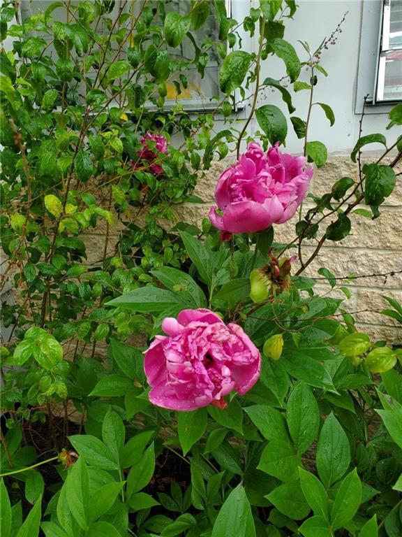 764 Cadogan Slate Lick Road Kittanning, PA 16201 - Photo 29 of 32 Gallery Image 29