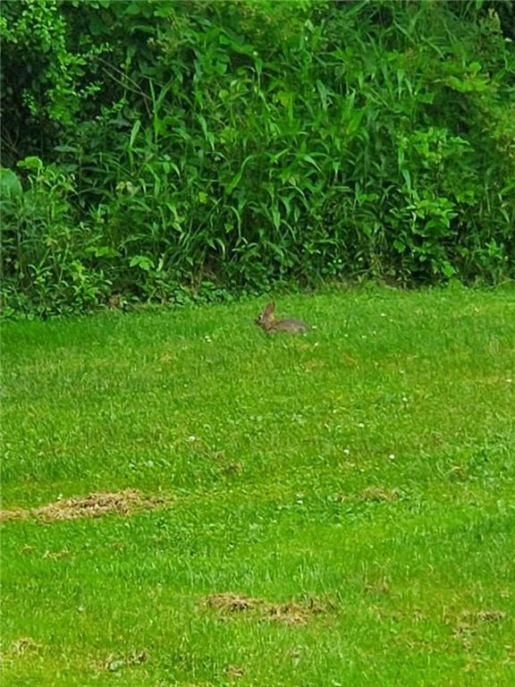 764 Cadogan Slate Lick Road Kittanning, PA 16201 - Photo 31 of 32 Gallery Image 31