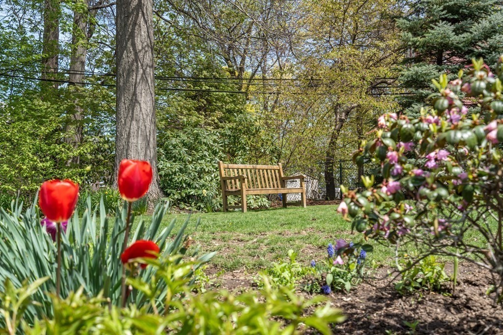 78 Addington Road Brookline, MA 02445 - Photo 3 of 30 a view of a outdoor space and shower
