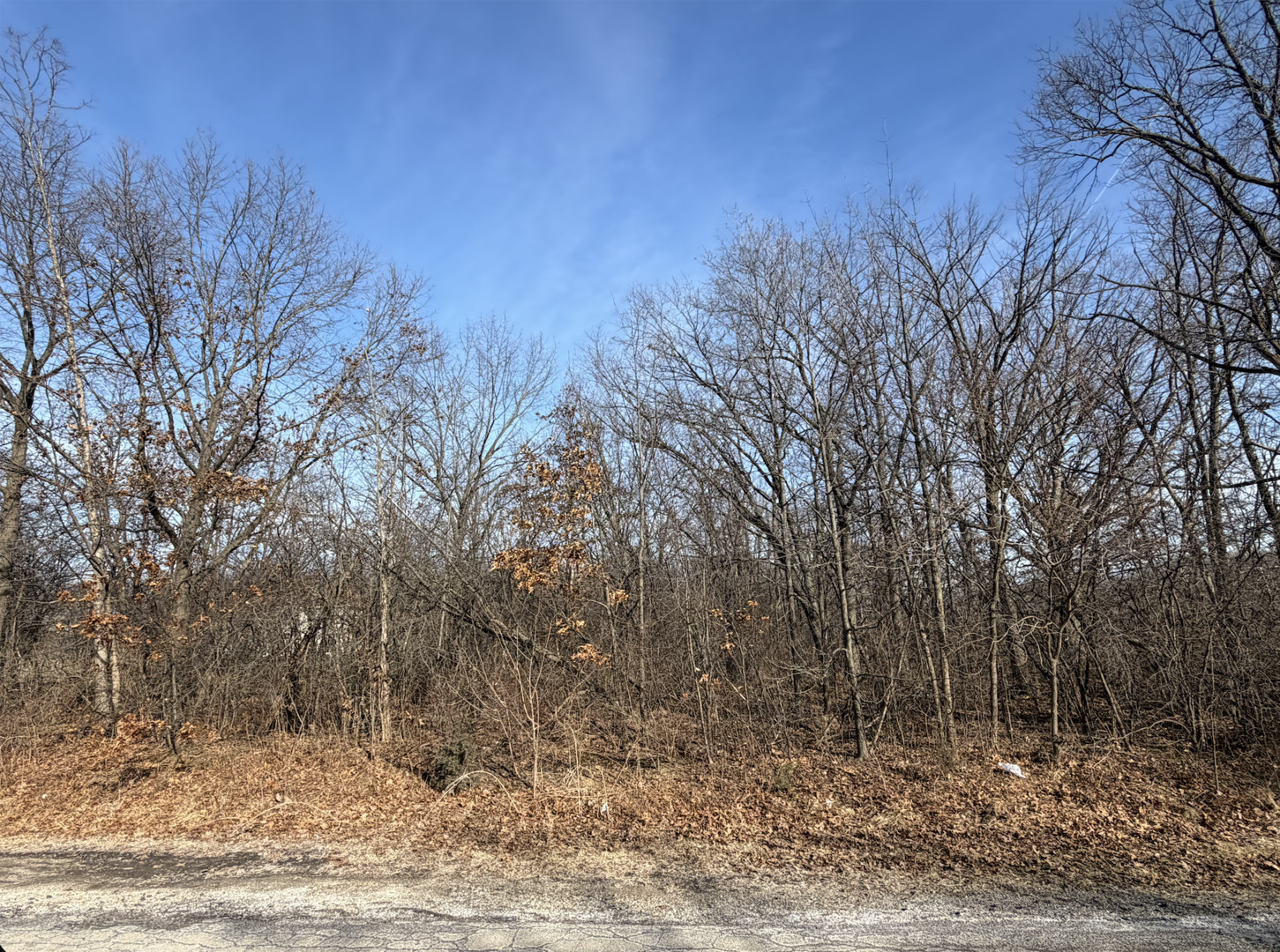 1365 Gordon Lane Lemont, IL 60439 - Photo 3 of 7