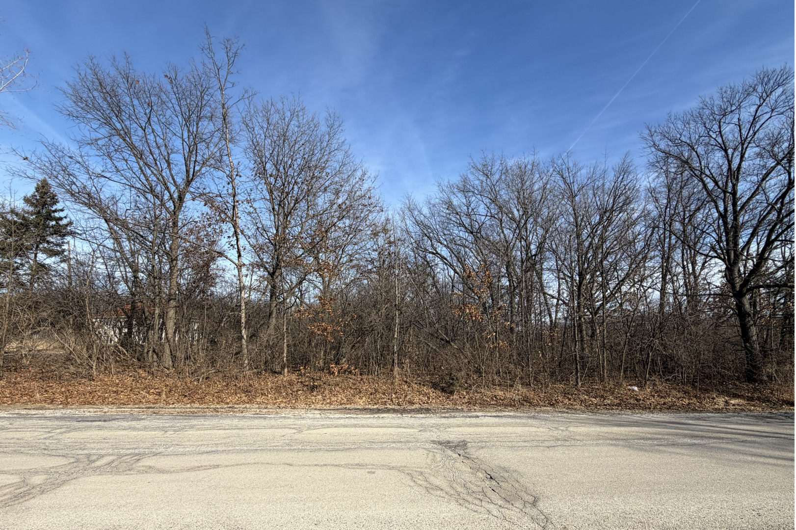 1365 Gordon Lane Lemont, IL 60439 - Photo 5 of 7