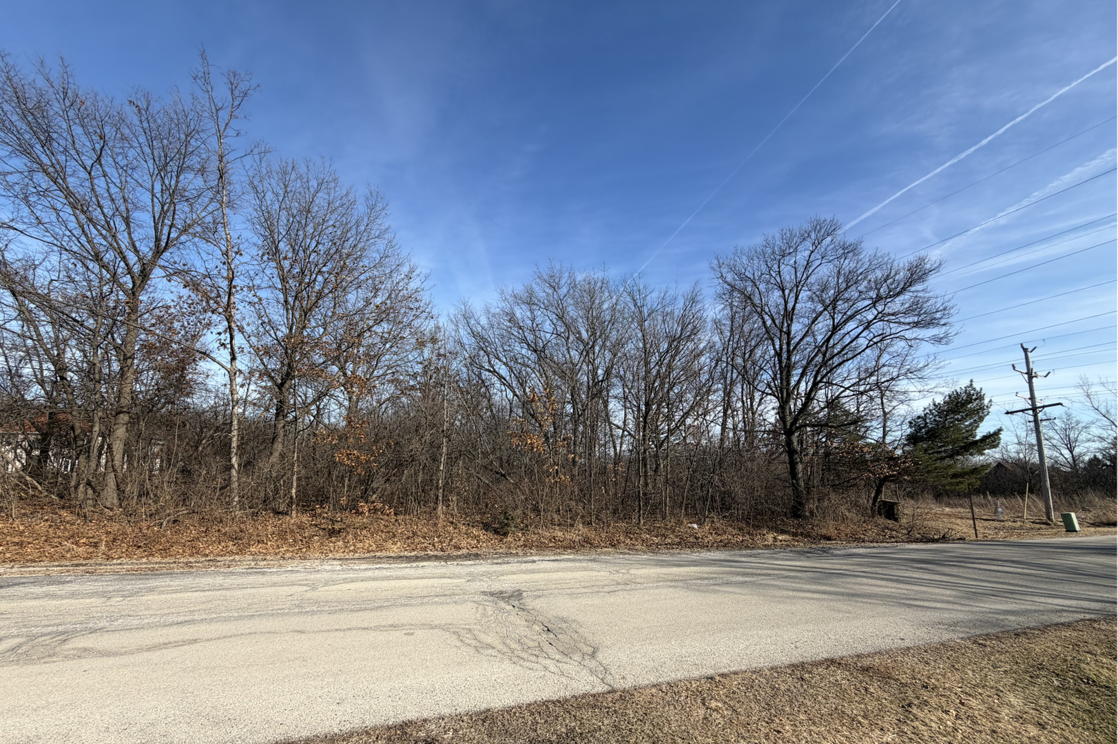 1365 Gordon Lane Lemont, IL 60439 - Photo 6 of 7
