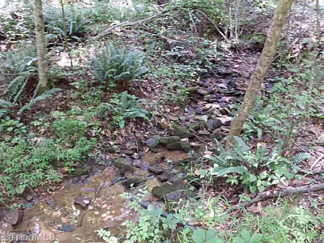 7165 Reynolda Road Pfafftown, NC 27040 - Photo 11 of 12 Land/Lot. another picture of spring