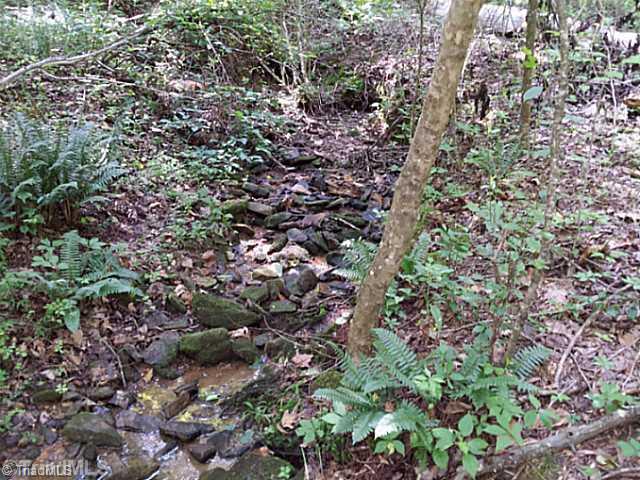 7165 Reynolda Road Pfafftown, NC 27040 - Photo 10 of 12 Land/Lot. spring