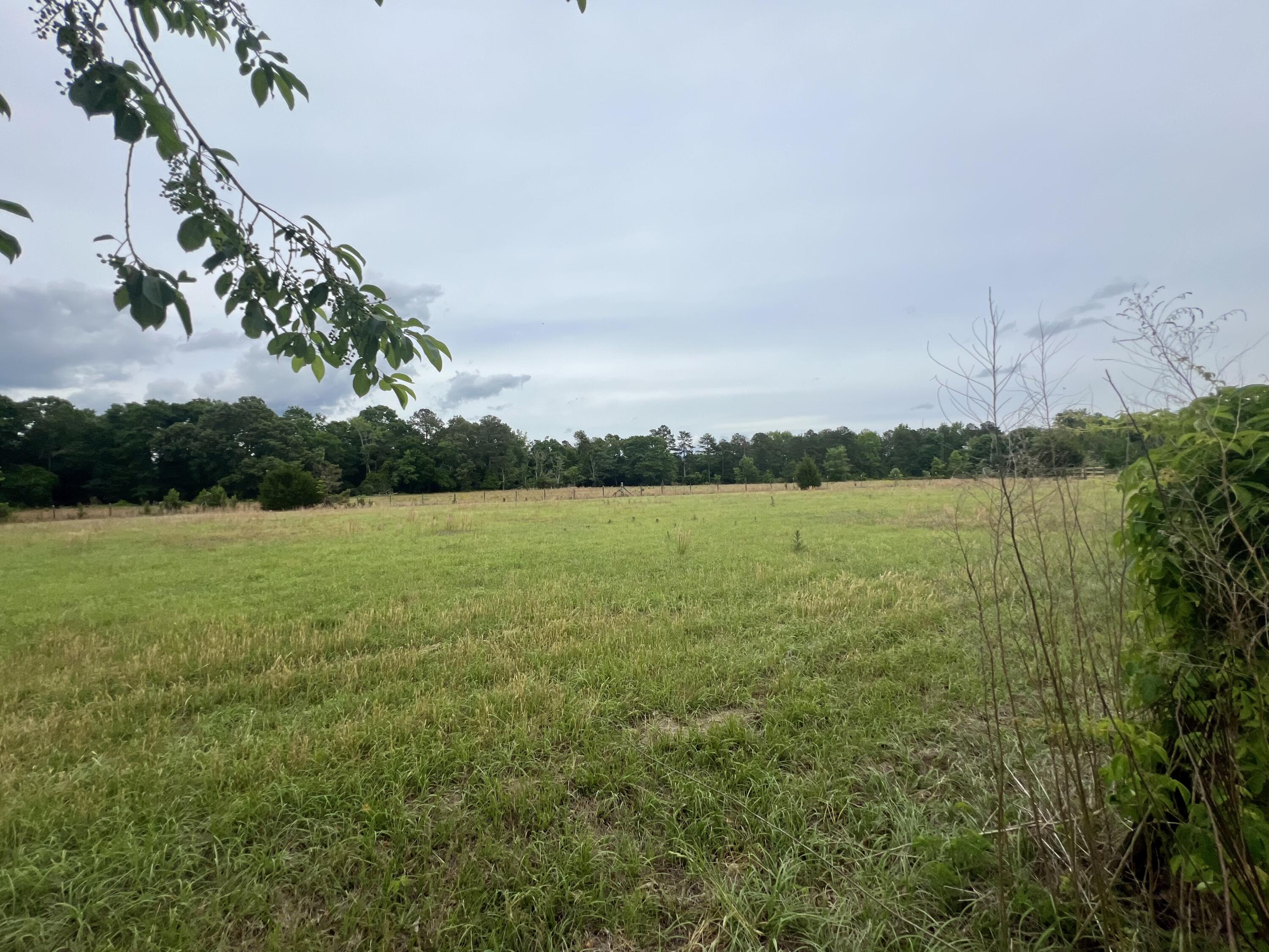 2041 Broome Road Hephzibah, GA 30815 - Photo 64 of 71 IMG_7279