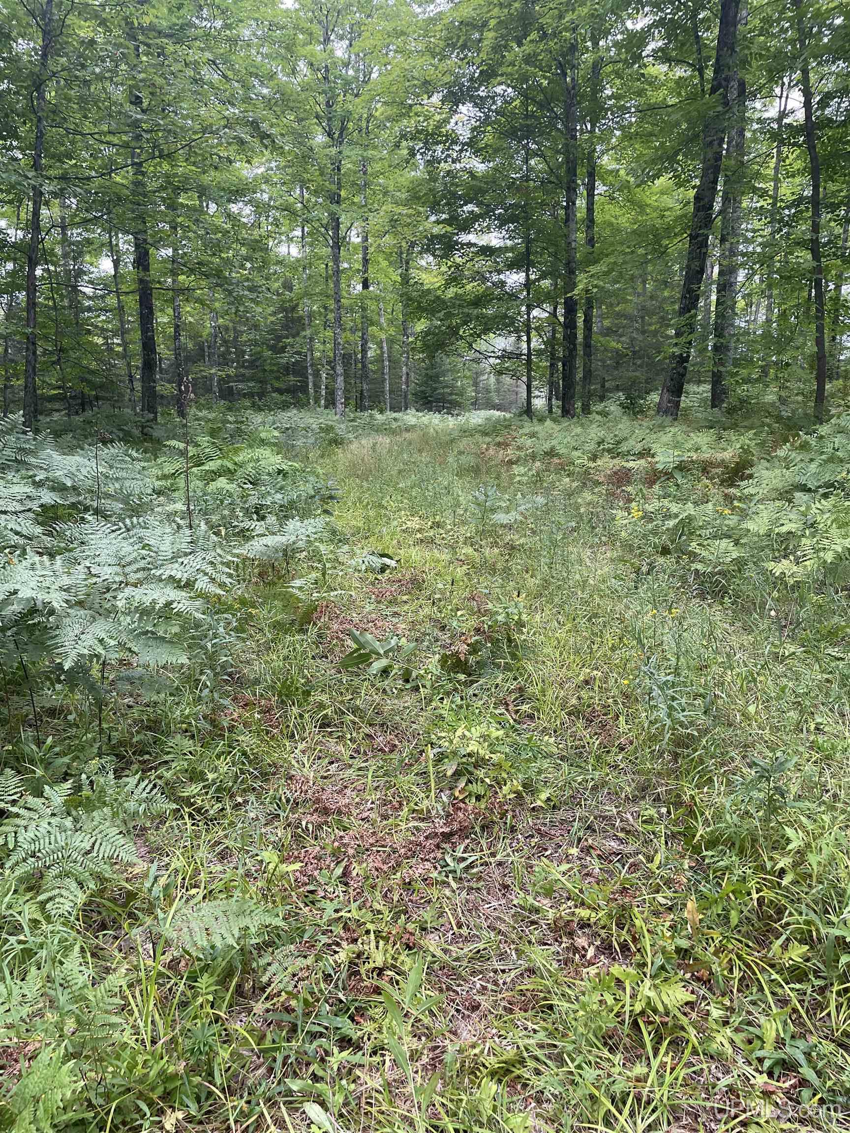 Tbd Tbd County Road, Unit 1 Cornell, MI 49818 - Photo 35 of 41