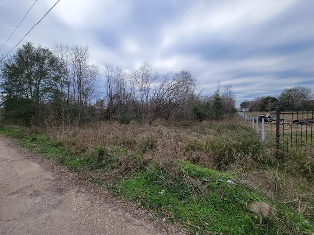 a view of a yard with trees in back
