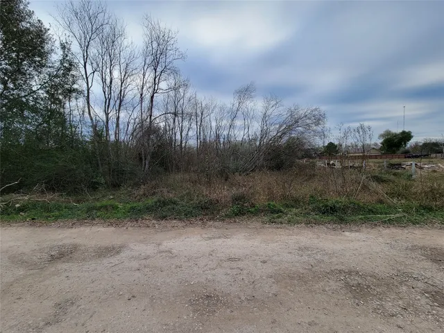 a view of a dirt road with large trees