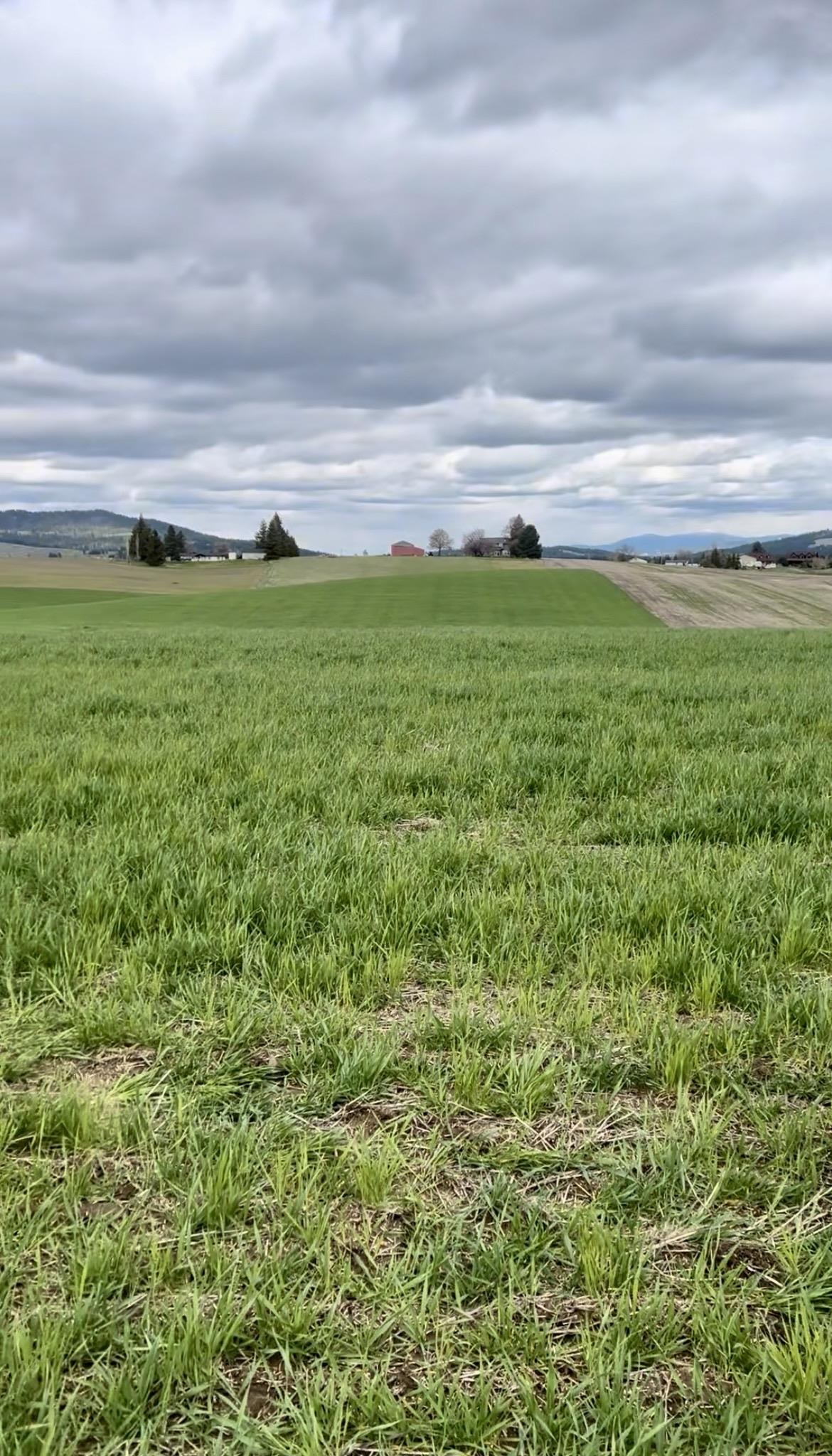 14906 South Madison Road, Unit ADDRESS STATED IS APPROXIMATE ONLY Valleyford, WA 99036 - Photo 11 of 15