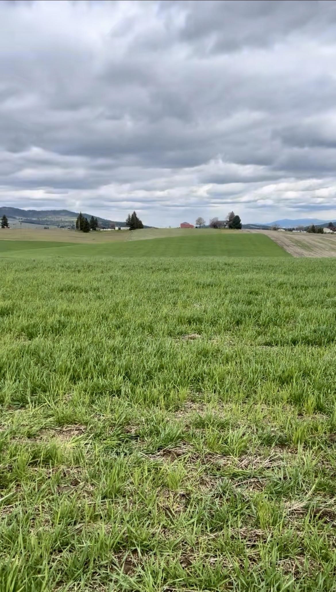 14906 South Madison Road, Unit ADDRESS STATED IS APPROXIMATE ONLY Valleyford, WA 99036 - Photo 15 of 15