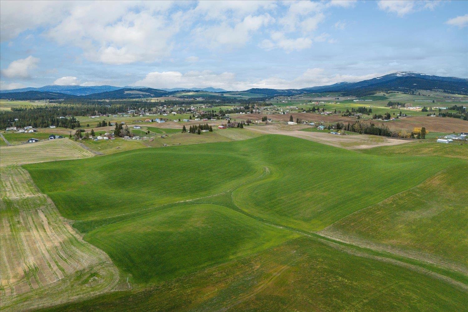 14906 South Madison Road, Unit ADDRESS STATED IS APPROXIMATE ONLY Valleyford, WA 99036 - Photo 4 of 15