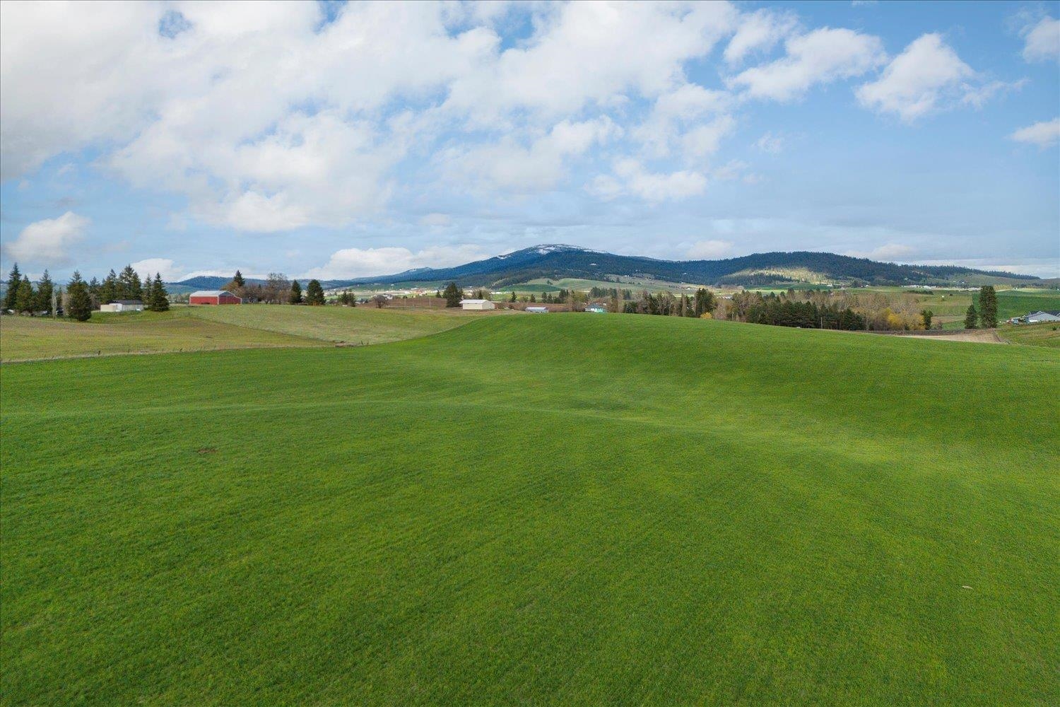 14906 South Madison Road, Unit ADDRESS STATED IS APPROXIMATE ONLY Valleyford, WA 99036 - Photo 5 of 15