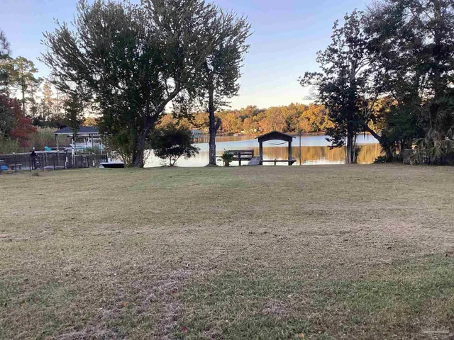a view of a yard with a tree