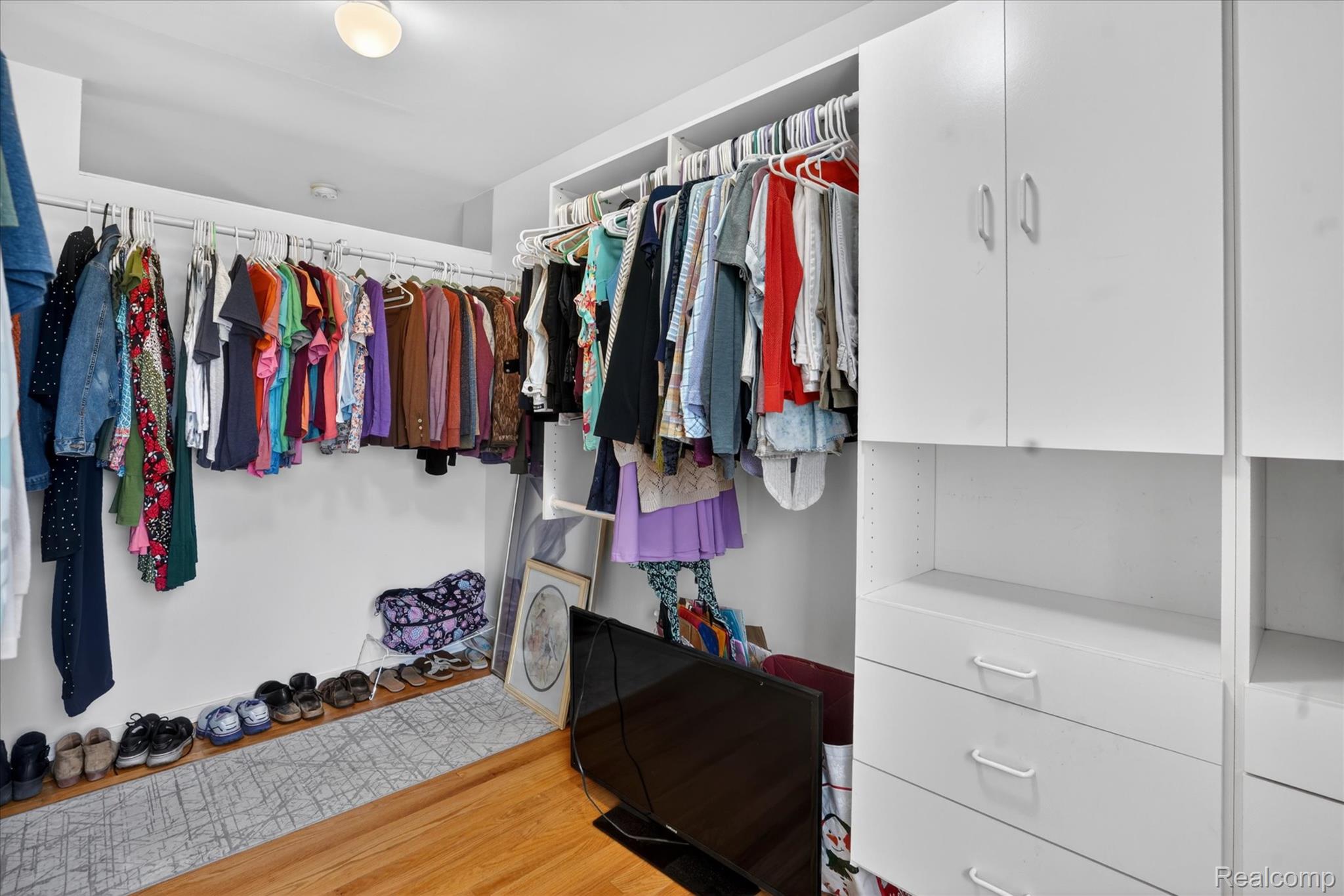 175 Templar Avenue Pinckney, MI 48169 - Photo 30 of 80 Primary Bedroom Walk-In Closet