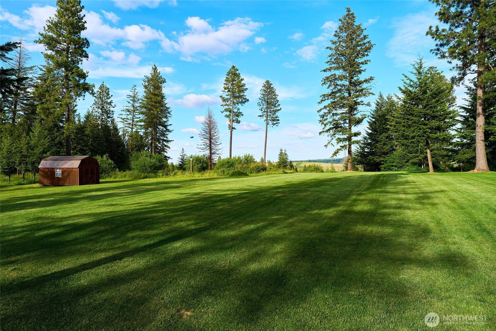 1335 Payne Hollow Road Dayton, WA 99328 - Photo 11 of 28