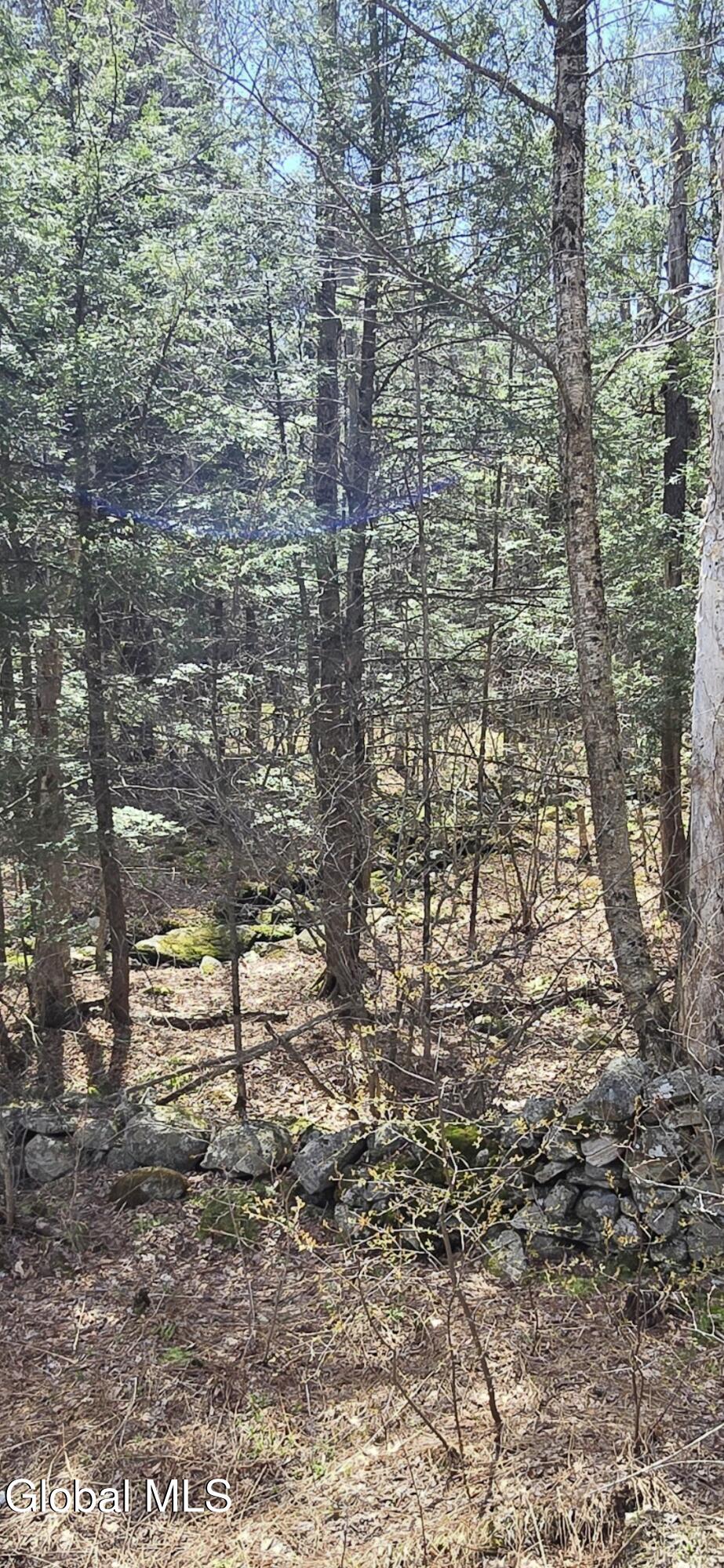 L45 Jacobs Ladder Road Becket, MA 01223 - Photo 3 of 10 Becket Stonewalls