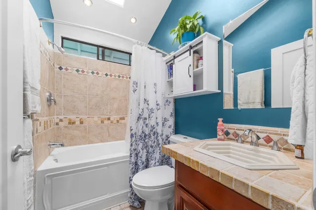 a bathroom with a sink a toilet and a bathtub