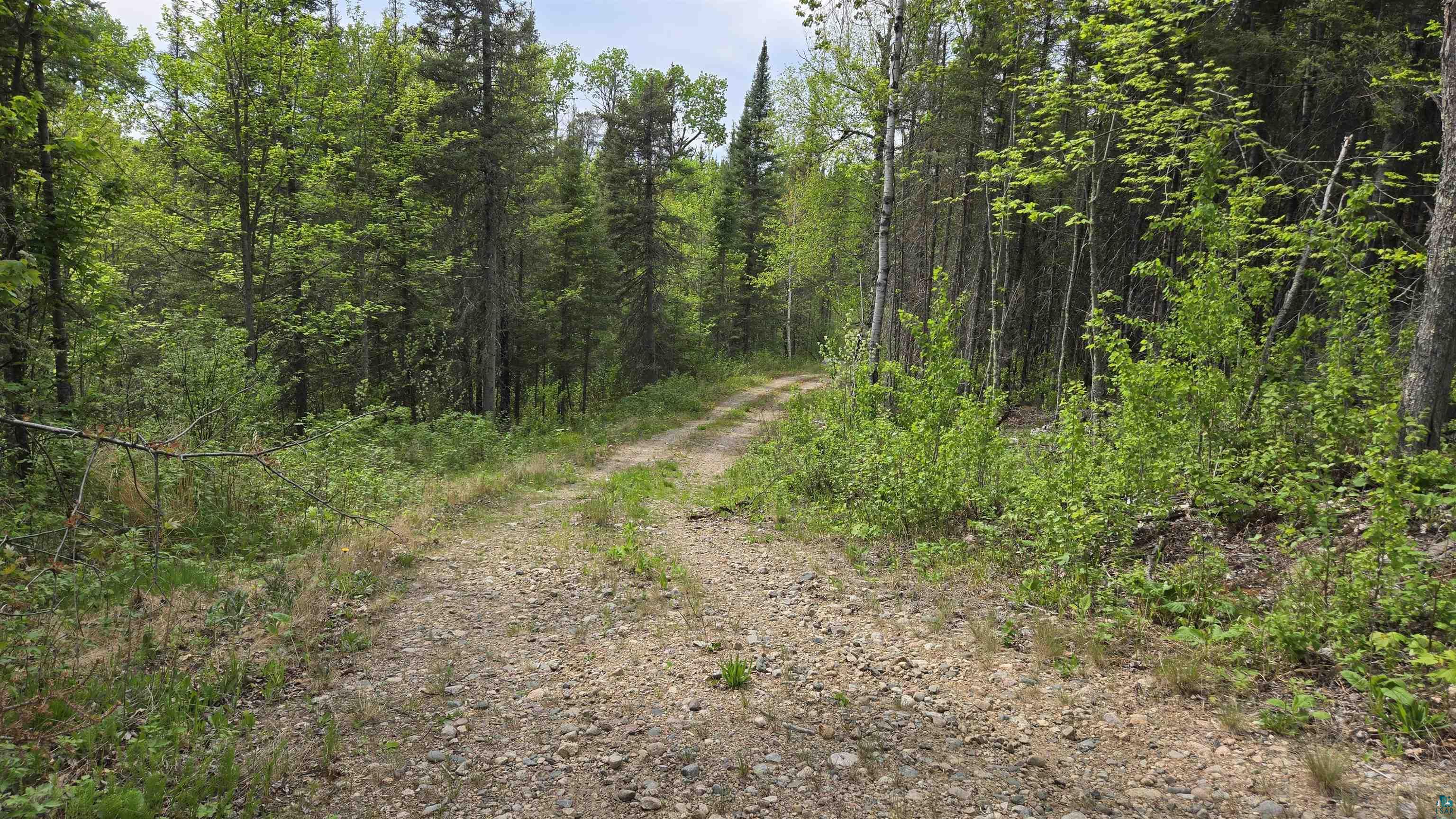 7316 Crane Lake Road Crane Lake, MN 55725 - Photo 3 of 21