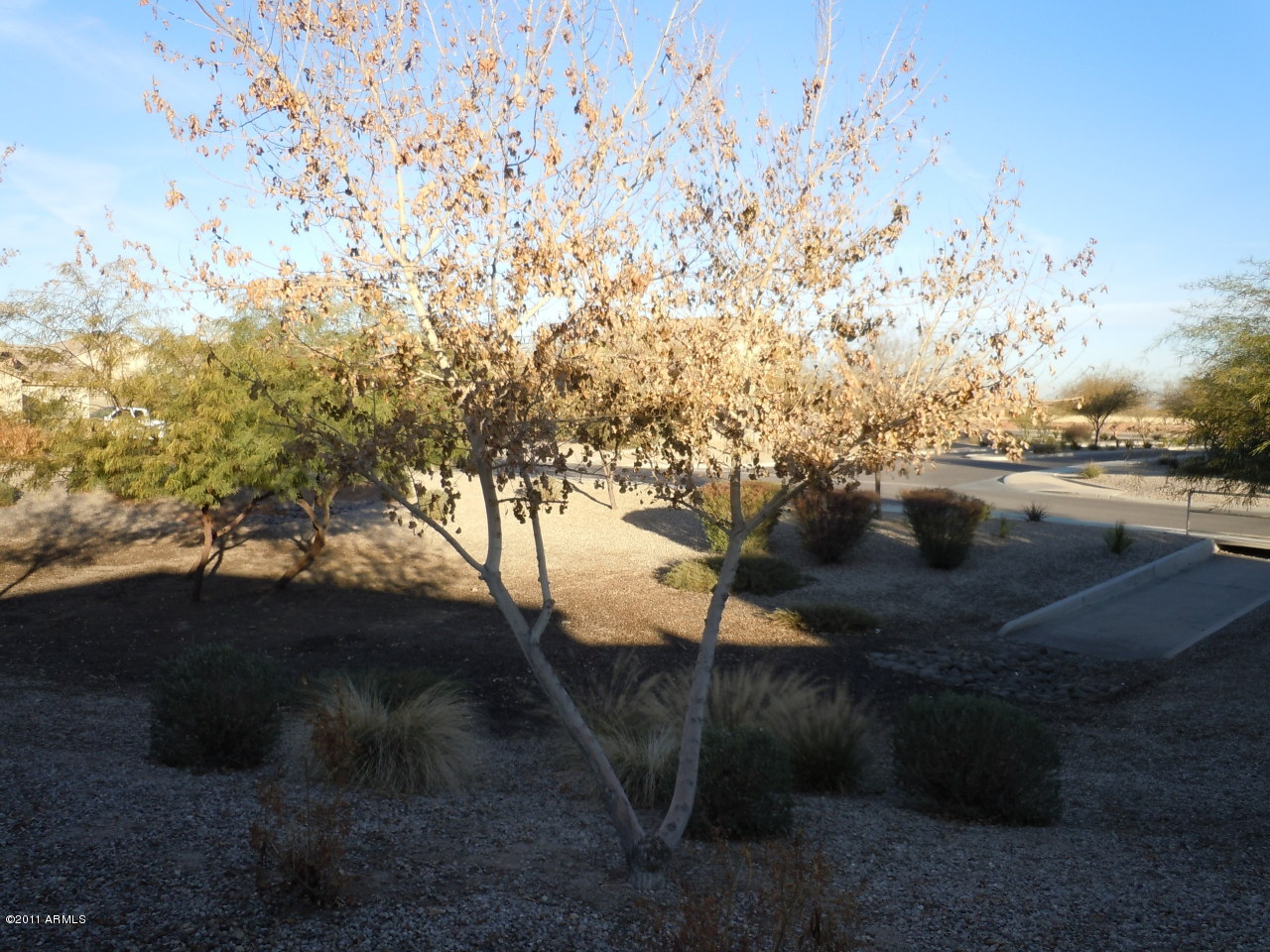 4662 East Pinto Valley Road San Tan Valley, AZ 85143 - Photo 14 of 14 View over fence