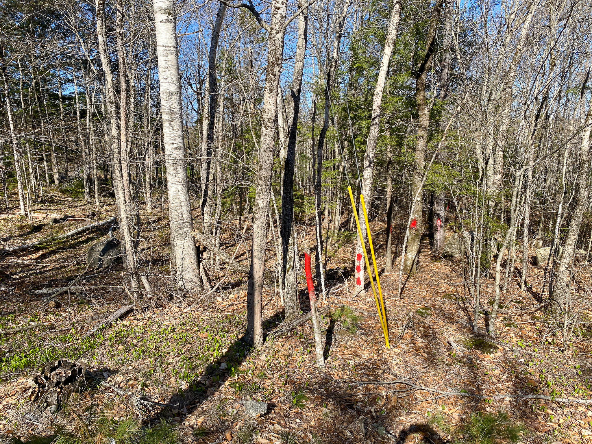 1510 Otis Road Ellsworth, ME 04605 - Photo 3 of 20 IMG_3144