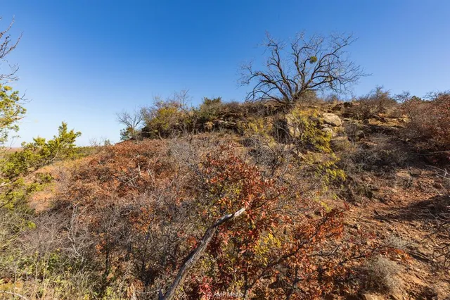 $695,000 | 0 County Road 441, Sweetwater, TX 79556