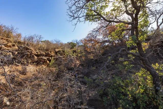 $695,000 | 0 County Road 441, Sweetwater, TX 79556