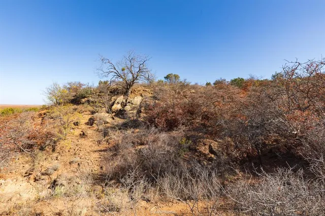 $695,000 | 0 County Road 441, Sweetwater, TX 79556