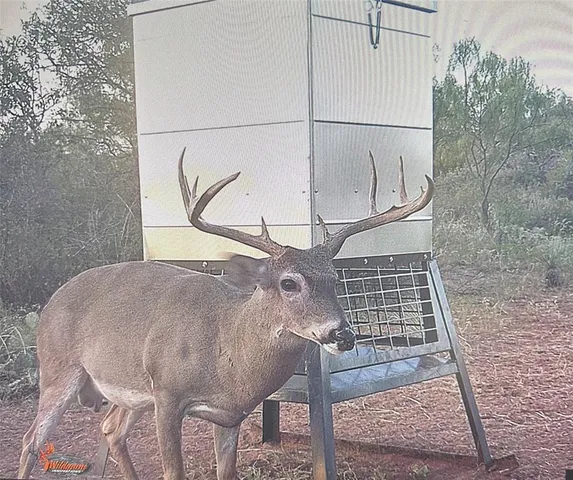 $695,000 | 0 County Road 441, Sweetwater, TX 79556