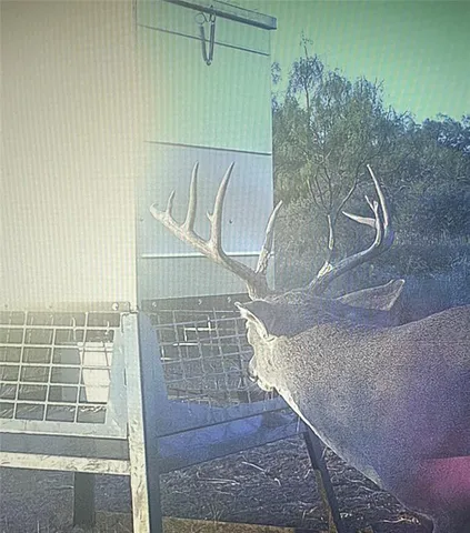 $695,000 | 0 County Road 441, Sweetwater, TX 79556