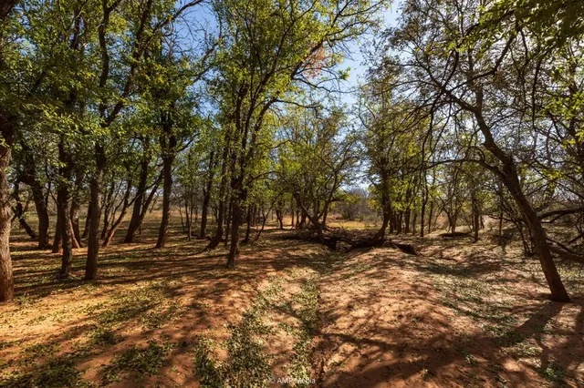 $695,000 | 0 County Road 441, Sweetwater, TX 79556