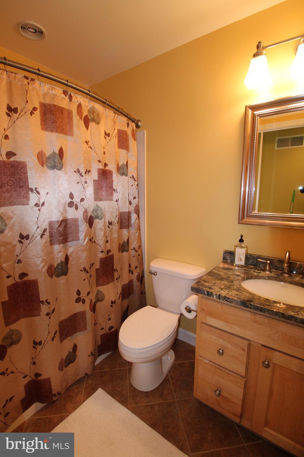 1761 Co Rte 8/4 Berkeley Springs, WV 25411 - Photo 15 of 25 Bath