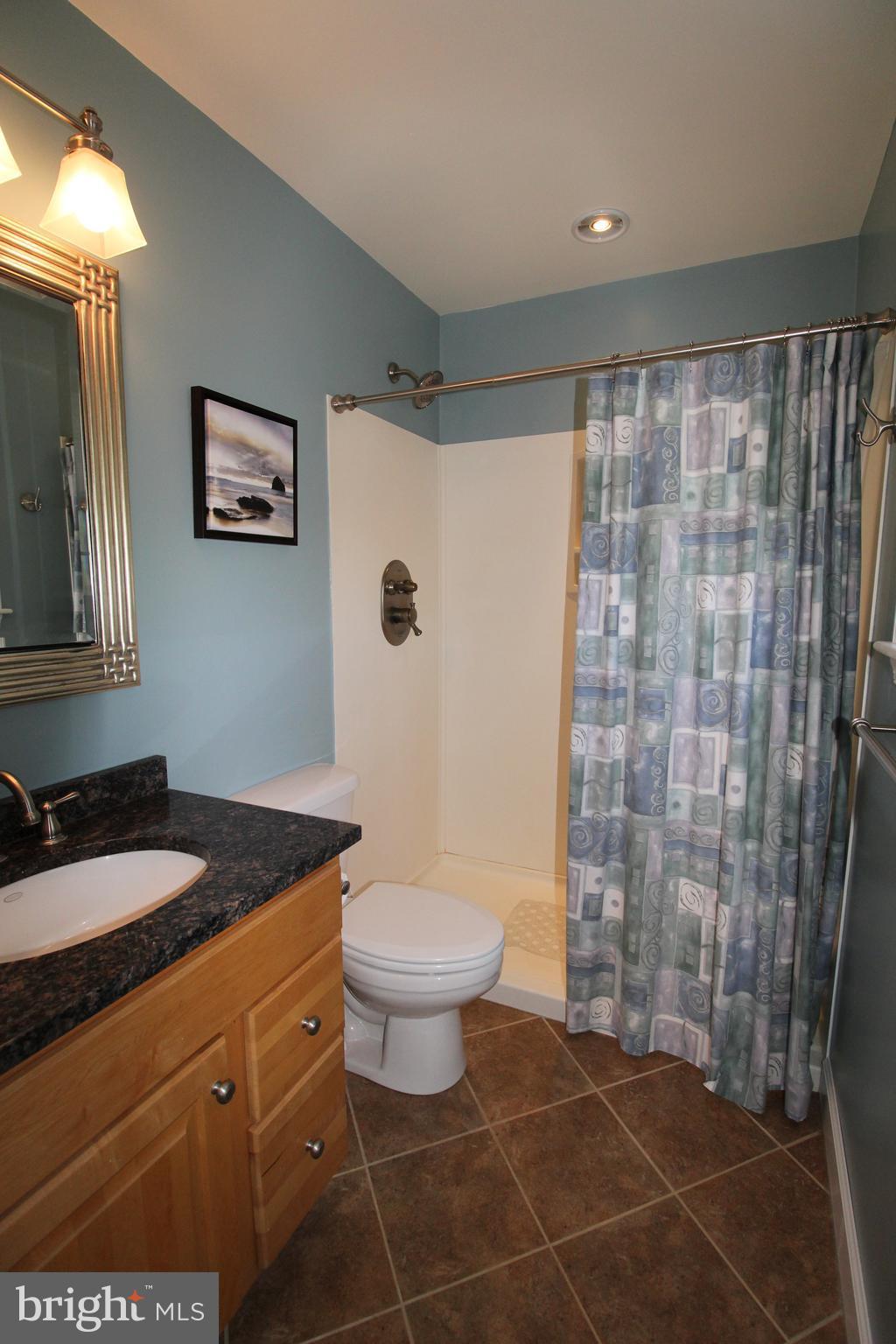 1761 Co Rte 8/4 Berkeley Springs, WV 25411 - Photo 16 of 25 Bath (Master)