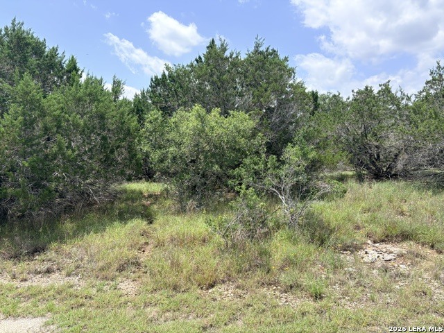 128 Coneflower Drive Spring Branch, TX 78070 - Photo 4 of 27
